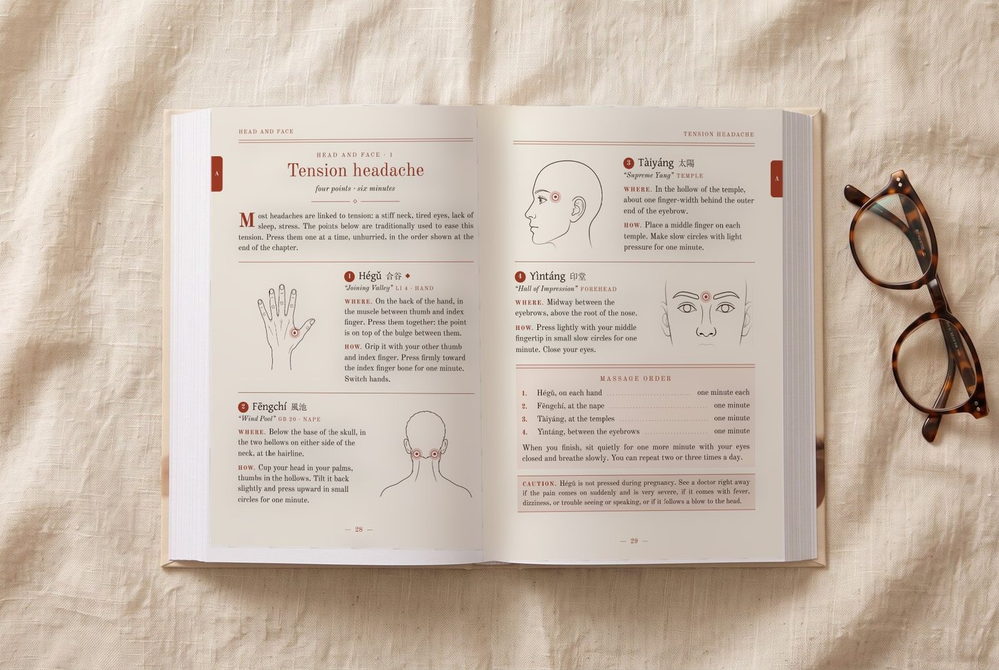 The book open at pages 28–29